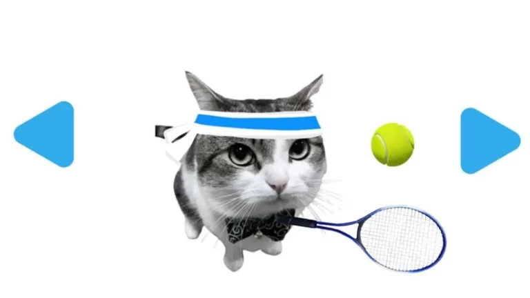 Cat Tennis ist aus diesen 3 Gründen kaum spielbar