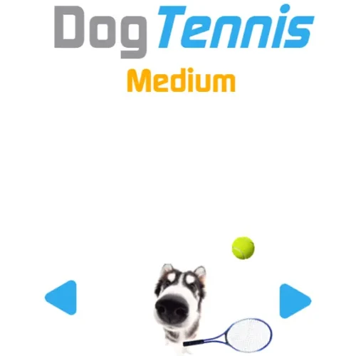 Der Hund in Cat Tennis schaut so aus
